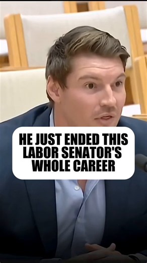Your daily reminder that Labor have no idea what they're talking about when it comes to Net Zero