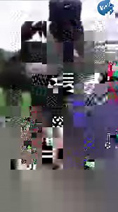 32K views · 216 reactions | War veterans of Zimbabwe's liberation...