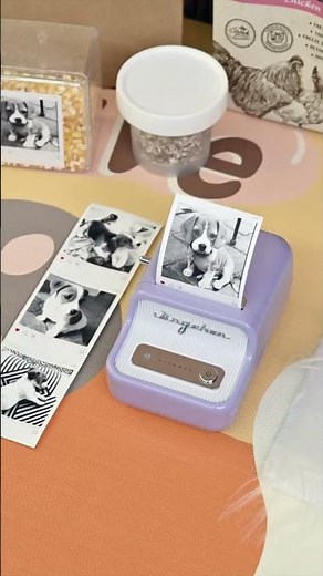 🐾 Level up your pet’s memories with NIIMBOT B21 Pro! #niimbot #unboxing #mindfuljournaling