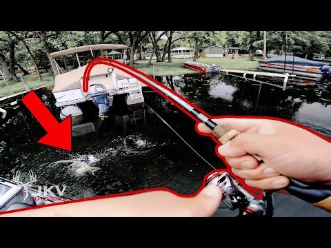 Pre Fishing for a MN Bass Fishing Tournament | Clearwater Lake | 2022