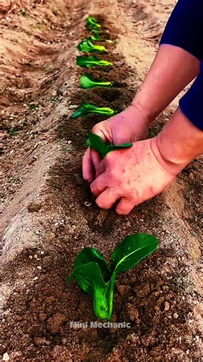 Drill Bit Garden Auger Fast Dual-Blade Hole Digger #GardenTools #SoilDrill #FarmTools #Shorts #Tools