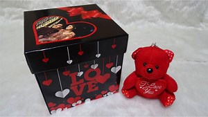 Perfect Gift for your LOVE ❤ 🎁 Premium Quality 🎁 Surprise Her / Him 🎁 33 Photos Watch full Video 👇 | Bonding Gifts