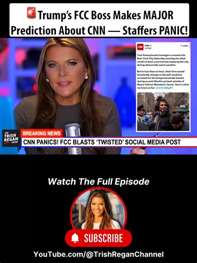 Brendan Carr makes this comment about CNN, sending the newsoom into panic mode. Subscribe and watch the FULL show at YouTube.com/@TrishReganChannel. #trishregan #trishreganshow