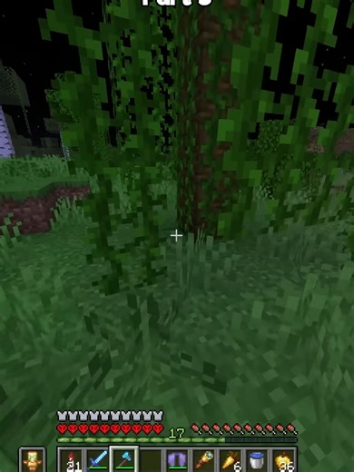 I Got Hunted by the World's Best Minecraft Player Part 3 #fyp #minecraft #parrot #unstablesmp