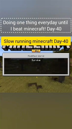 slow running Minecraft 🐢|#shortvideo #minecraft