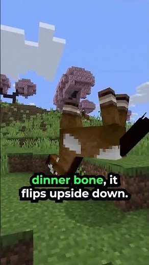 Are These the BEST Easter-Eggs in Minecraft?