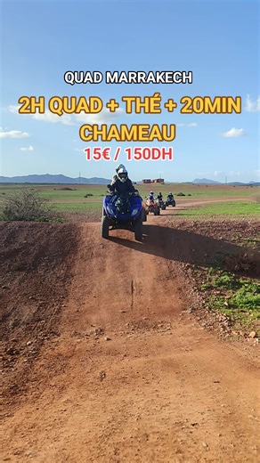 #France #viral_video #morocco #maroc #palmeraie