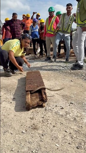 Ohhh😱😳Indian women rescue venomous cobra snake🐍🐍🐍 #snake #cobra #omg #shorts