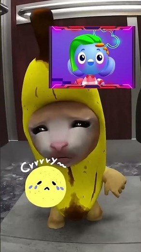 Watch with Buddy: Banana Cat and Whiny Situation | Buddy the Robot | Buddy.ai | #bananacat