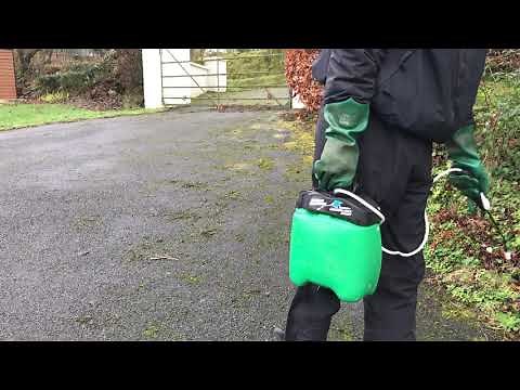 Moss spraying with Hypochlorite