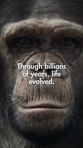 How Did Life on Earth First Begin?