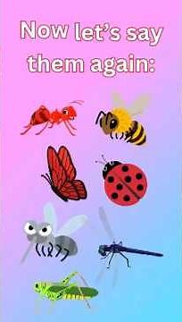 Learn Insects with Fun | Kids Learning Bugs