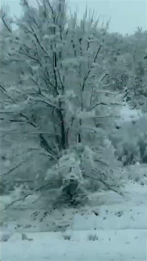 Kışın En Güzel Hali Bu Yolda