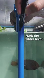 65K views · 1.2K reactions | How to Use Surface and Bottom Cleaner (Side Mounted Pump Version) You can purchase this product through this Shopee link: https://shopee.ph/KUYA-LITO-Surface-and-Bottom-Cleaner-i.554788391.15848379052?sp_atk=9a798b63-bb74-4cd9-b517-2115debd0e19 | Kuya Lito | Facebook