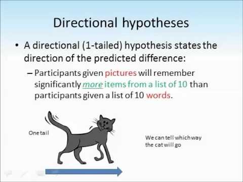 Hypotheses tutorial