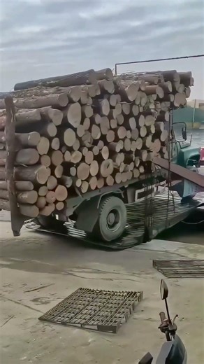 Truck Loaded with Logs Unloading by the Water