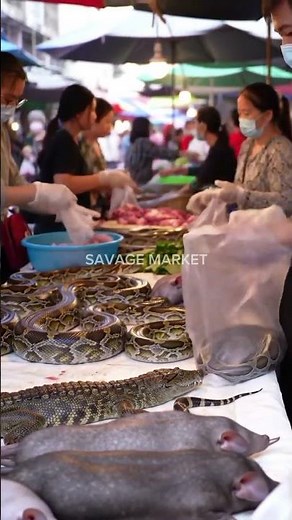 Extreme Market: Live Pythons and Crocodiles Sold Freely!‪@mfajar88‬