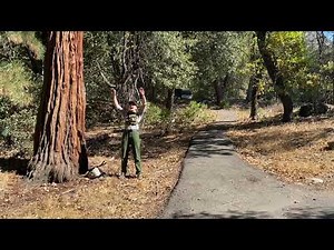 How to scare away a bear in Yosemite