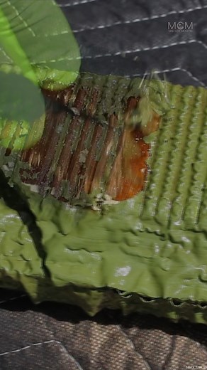 570K views · 16K reactions | 1930s Dresser Transformation #ArtDecoRestoration #FurnitureRestoration #DresserRestoration | Mad City Modern | Facebook