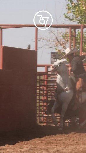 Sevenfiveseven (@sevenfiveseven1)’s videos with original sound - Sevenfiveseven