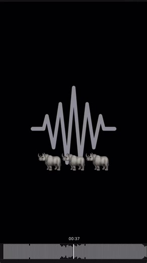 Experience the Rhythms of Guaracha Music