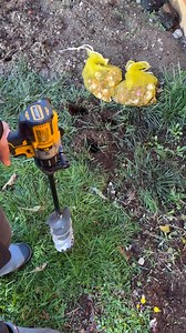 2.7K views · 22 reactions | Here’s a link for Power Planter augers we use, thanks for your support! https://powerplanter.com/#learntogrow | Learn To Grow | Facebook