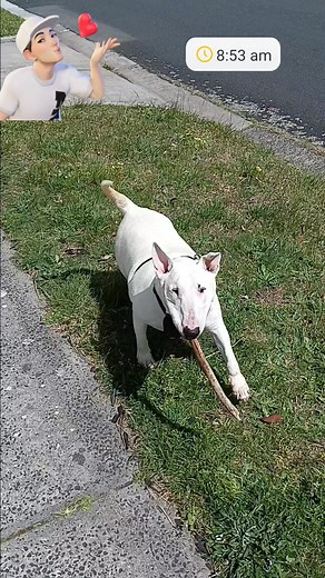 Darrin Jones on Reels