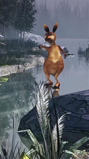 Hilarious Kangaroo Dance Video