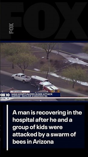 Bee attack leaves Arizona man hospitalized