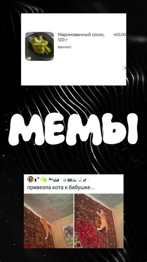 Котик лежит или весит 🤔 #shorts #memes #мемас #мемы #смешнойшортс #мем #юмор