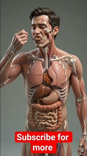 What will happen if you eat baked beans ? #shorts