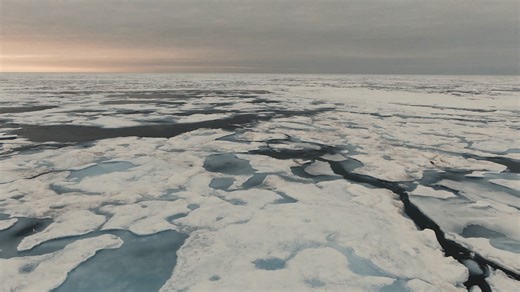Lots of planning, training and hard work happens behind the scenes before our units deploy on operations 💪⚓🇨🇦. As HMCS William Hall/ NCSM William Hall gets ready to deploy for Operation NANOOK-TUUGAALIK, we take a look back to when Advanced Naval Capabilities Unit (ANC) conducted a series of training exercises before they deployed on Op NANOOK-NUNALIVUT in February. #OperationNUNALIVUT takes place annually in the vicinity of Inuvik and shows our ability to demonstrate presence and conduct sur