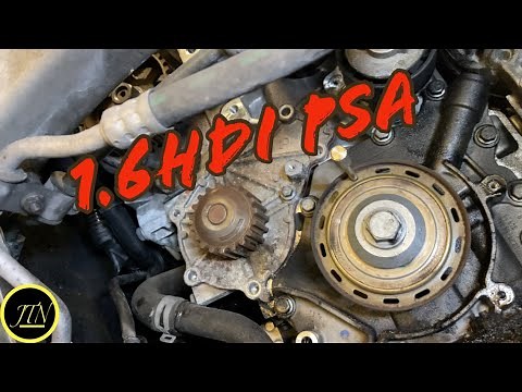 Distribution 1.6 hdi PSA (DV6)