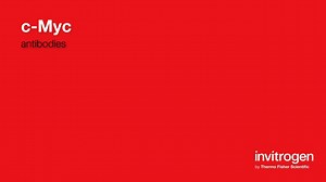 c-Myc antibodies from Thermo Fisher Scientific