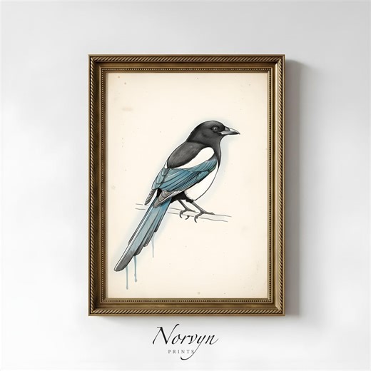Vintage Magpie Print | Graphic Bird Wall Art Printable | Minimal Nature Illustration - Etsy