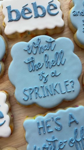 Schitt's Creek Baby Shower Cookie Set | Decorated Sugar Cookies