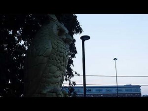 [adult swim] - Sign-Off with New Music (March 2019 - 6AM)