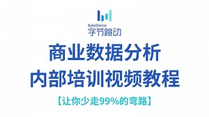 【吊打付费】2025年最细商业数据分析入门到实战教程，学数据分析看这一套就够了！（全程干货）