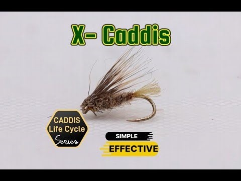 X Caddis Dry Fly