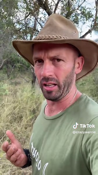 Explore the Fascinating World of Jumping Spiders