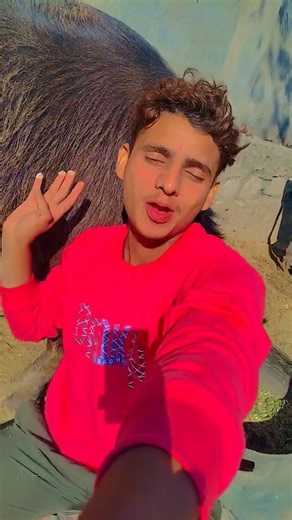 Lollipop | Candy Shop Song | Candy Shop Song Dance | #tmusichindi #dance #dancevideo