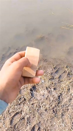 चि.आर्यन शाम कुंढारे!! on Instagram: "#viral #instagram . . . . . . . . . . .Here you go — copied exactly as in the image 👇 ​These hashtags push your reel beyond your followers 🔥 That’s how you get non-follower reach and new audience everyday 🚀 Follow @aadixgrowth for more growing stategy ideas 💡 ​#reeltips #reelsgrowth #viralreelsi reachboost facelesscreator contentstrategy growoninstagram"