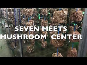 【vol.5】きのこ屋が教える椎茸の菌床作り「充填及び殺菌工程」