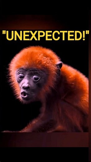 EPIC FAILS 🤯 unexpected "Monkey's EPIC Reactions..😂"