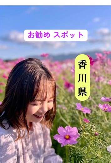 香川県のおすすめスポットへお出かけしました🚗³₃ 今年も大好きなお気に入りのコスモス畑へ🌸✨ 風でユラユラ揺れる姿が可愛くて優しい気持ちになりました(♡´▽`♡) 四季を五感で感じるとエネルギーが高まります🎶 これから紅葉がいい感じになりますね💕︎ 自然は最強のパワー✨を持っています💪🔥 自然に触れる事で運気を上げるアクションにも繋がるのでおすすめです！ それが難しい方は、空を見上げるだけでも構いません。 五感を使うこと。是非意識してやってみてくださいね💕︎ #コスモス#香川県#さぬき市#開運#運気上昇