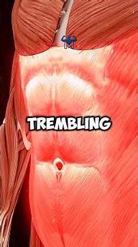 3 Best Exercises to build Real Sixpack #workout #gym