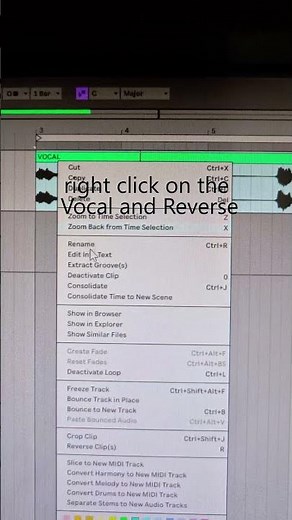 Stop Doing Vocal Echoes Wrong (Use This Reverse Trick) #vocals