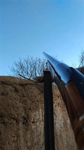 Hunting Birds With Powerful Shotgun