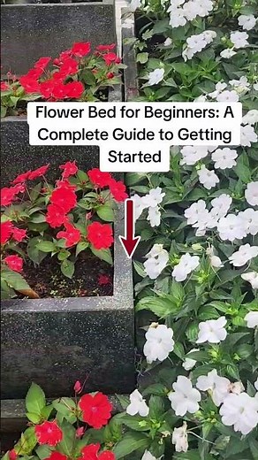 Flower Bed for Beginners: A Complete Guide to Getting Started