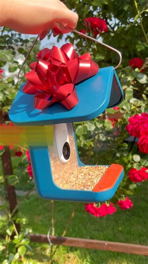 11K views · 224 reactions |  It’s here — Birdbuddy’s Black Friday Sale! Get up to 50% OFF the world’s first smart bird feeder   Capture stunning HD photos & videos  Get real-time alerts when birds visit  Identify 1000+ species automatically Thousands of bird lovers already use Birdbuddy to reconnect with nature — now’s your turn. Hurry — this deal ends soon! | Birdbuddy | Facebook